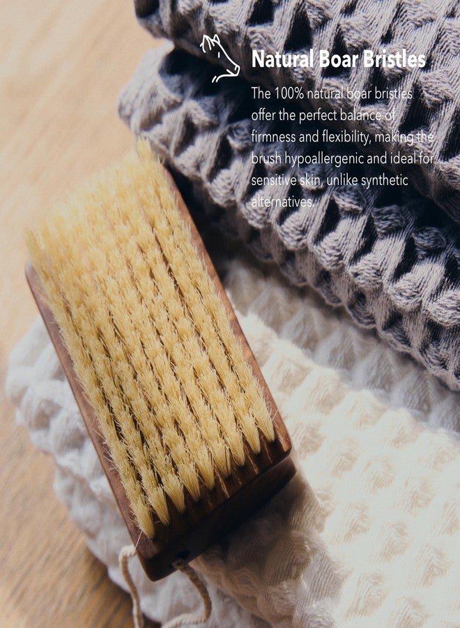 KOSMU Luxury Natural Walnut Wood Boar Bristle Body Brush | Exfoliating & Detoxifying for All Skin Type | Sweeps Away Dead Skin Cells for Luminous, Smooth Skin | for Wet and Dry Use (Handheld) - Image 4